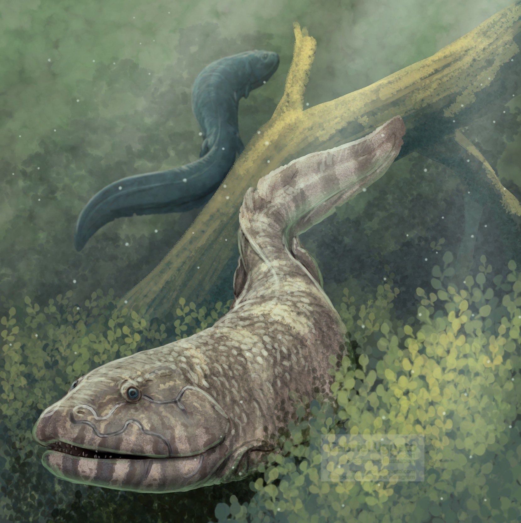 EPnh947WsAAZ1NG.jpg:large