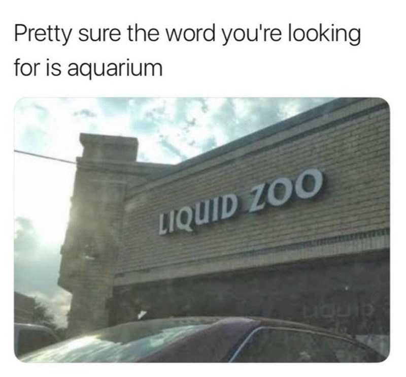 sign-that-says-liquid-zoo