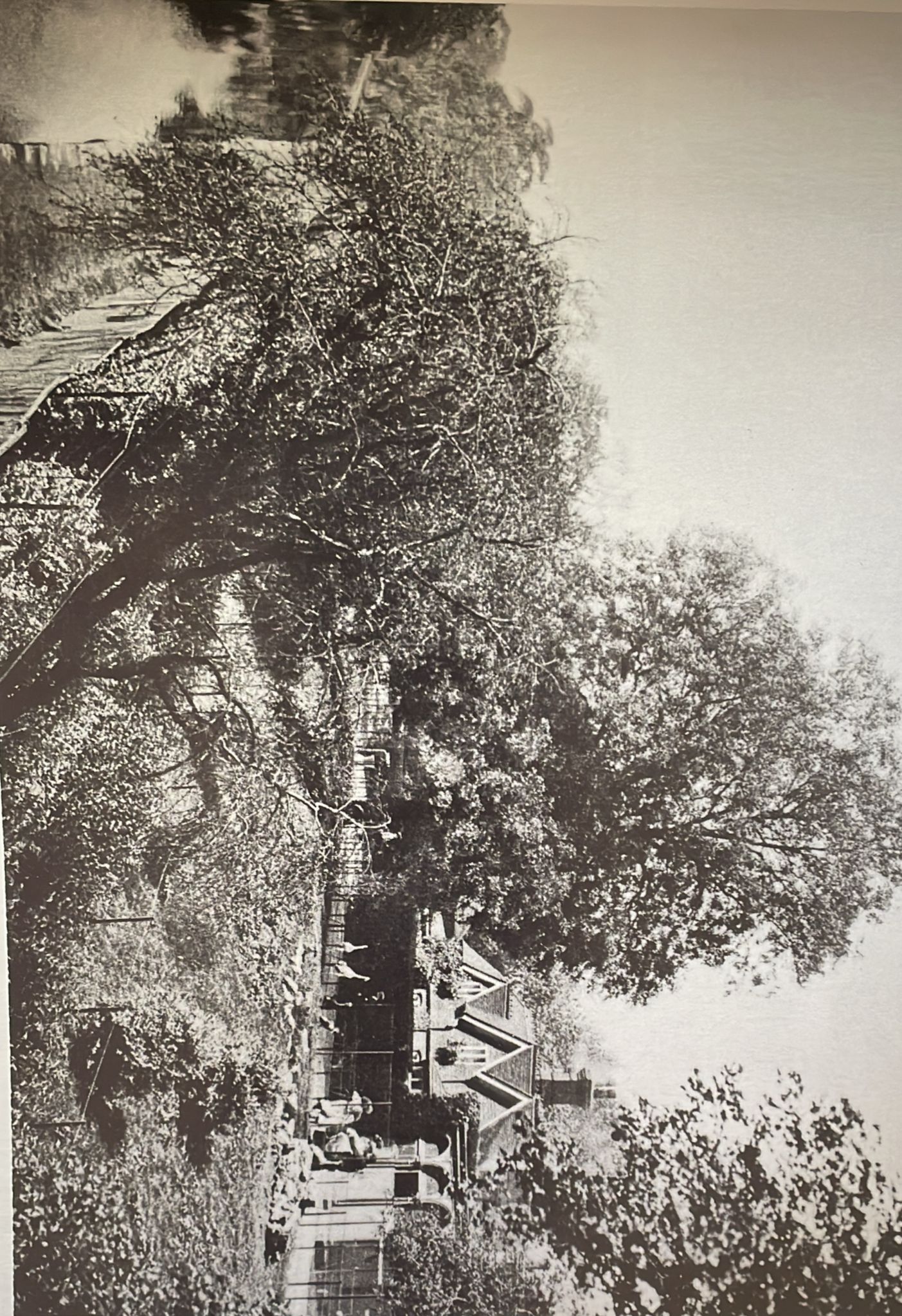 42-crane-paddocks-10-jpg.434000