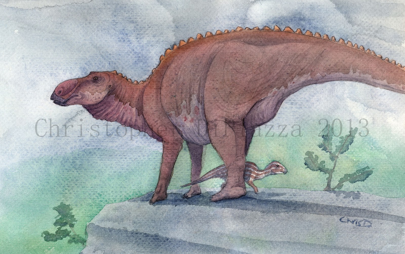 Maiasaura+(wm).jpg
