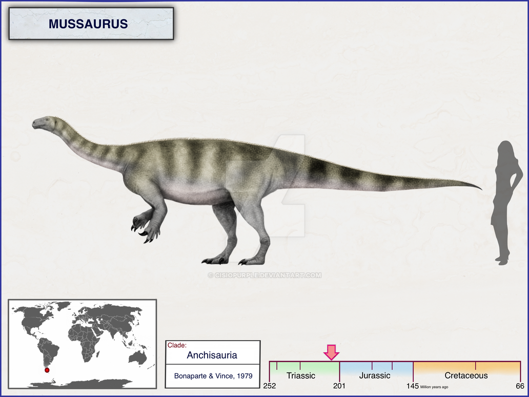 mussaurus_by_cisiopurple-dckds9u.png