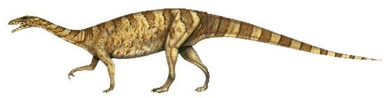 anchisaurus_3cfa.jpg