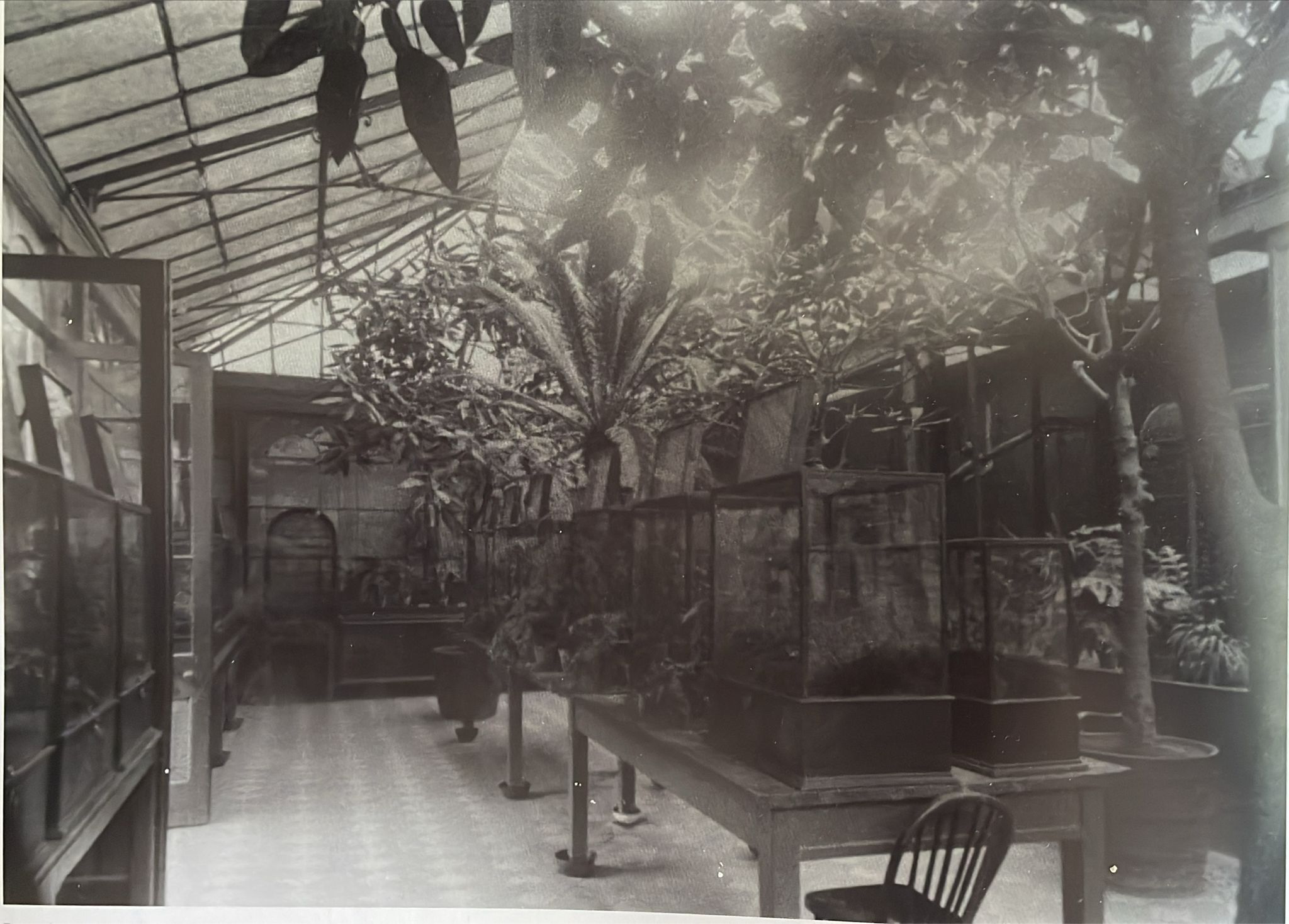 43-insect-house-1-jpg.434001