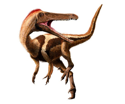 dino_austroraptor_bc7e-jpg.129164