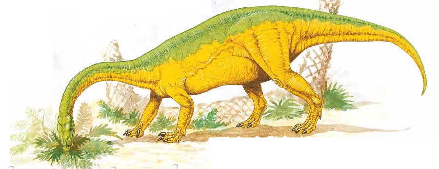 anchisaurus-eating-vegetation_9ac5.jpg