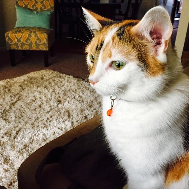 B6CUJgyCYAArTdM.jpg:large