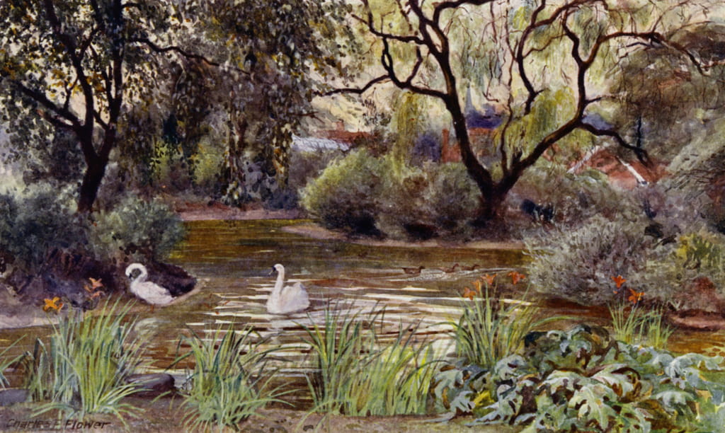 36-three-island-pond-jpg.422106