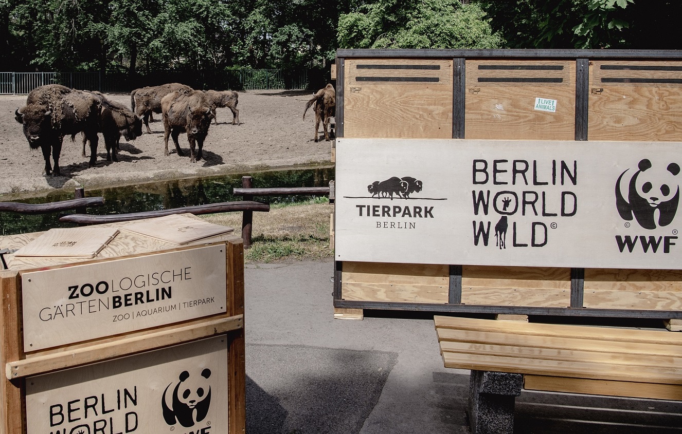 Transportbox_TierparkBerlin.jpg