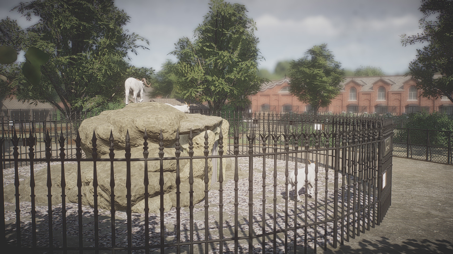 sheep-yard-1-jpg.366275