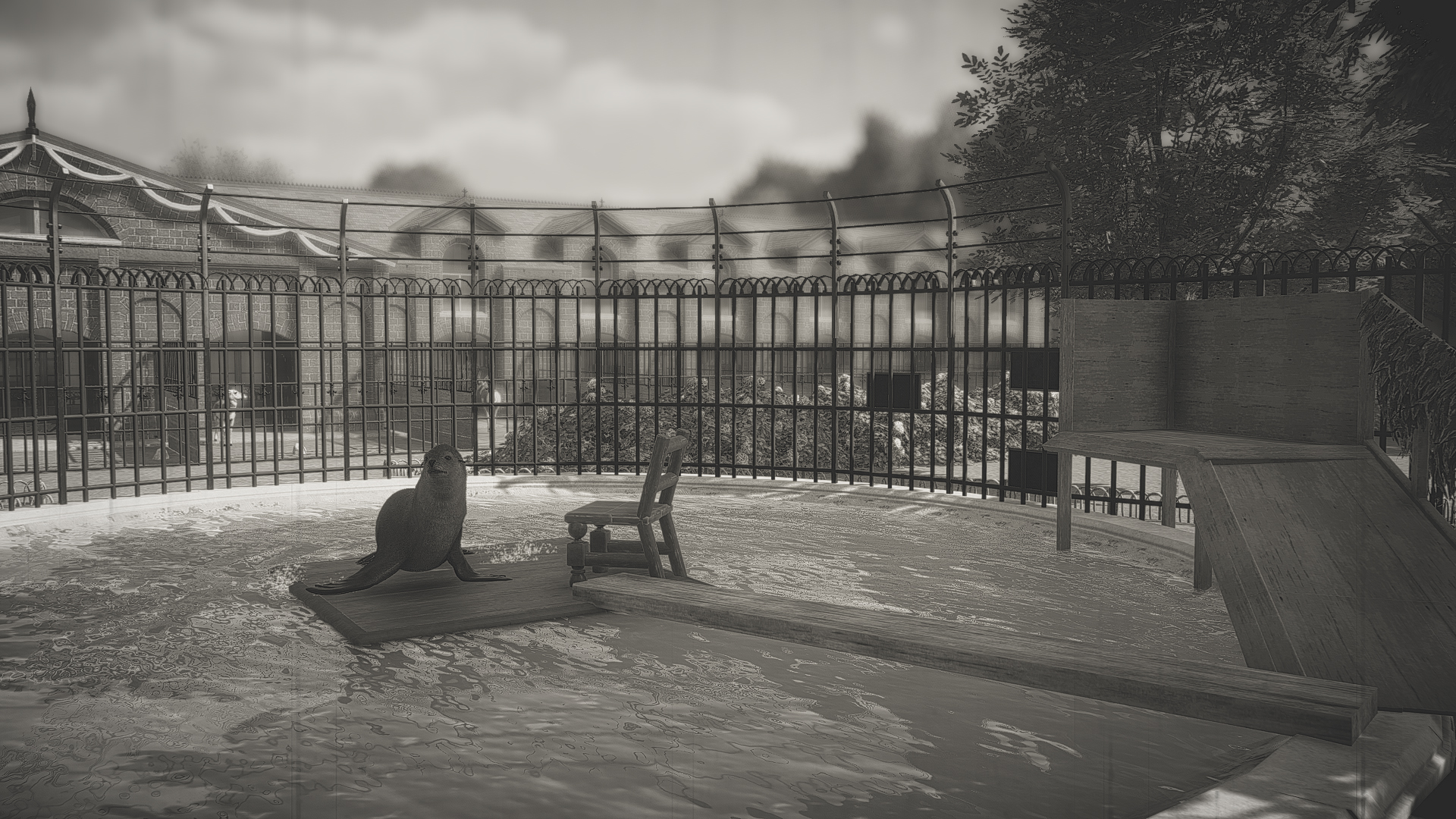 sea-lions-pool-1-jpg.366274