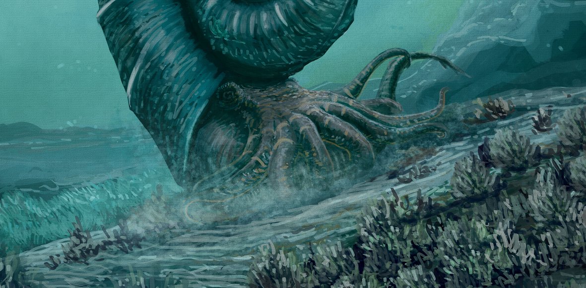 DCbKQfWUMAAc6oO.jpg:large