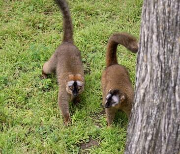 BQ7y38lCAAADyF9.jpg:large