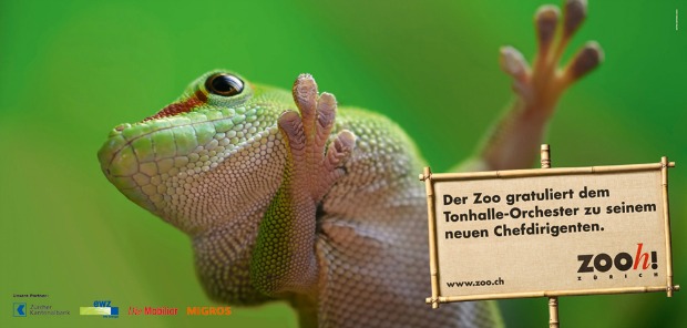 zoo_dirigent_kopie.jpg