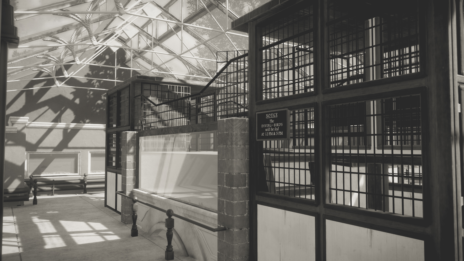 diving-birds-2-jpg.427095