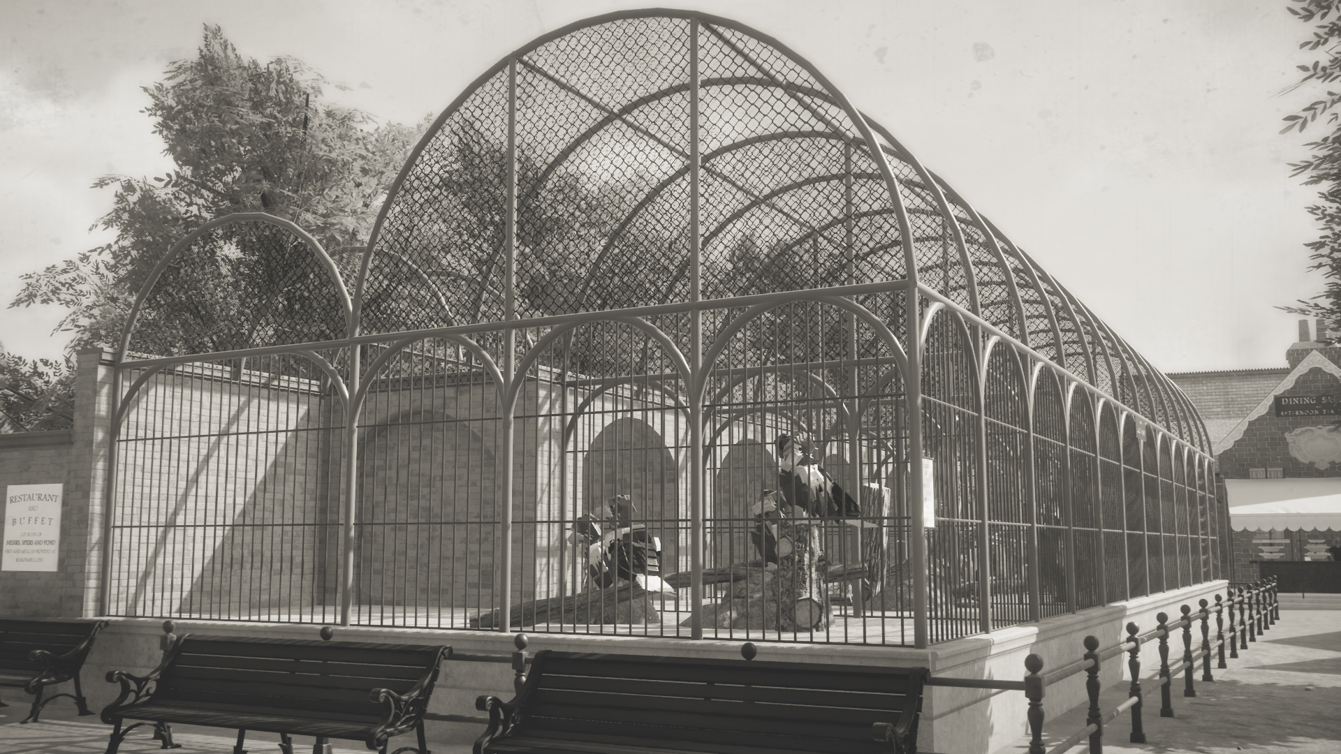 eagles-aviary-1-jpg.427097