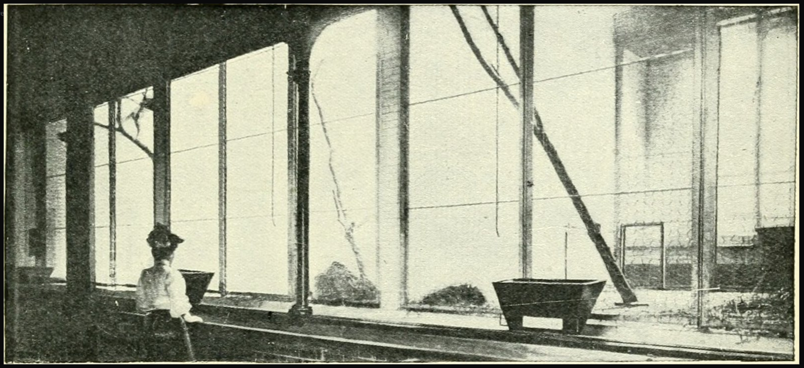 4-ape-house-22-jpg.358470