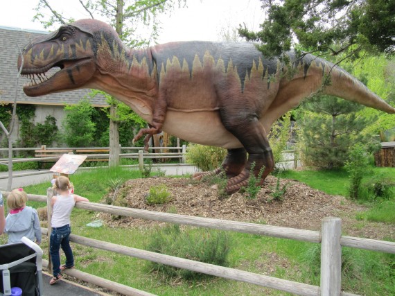 Hogle_Zoo_Tyrannosaurus_Rex-570x427.jpg