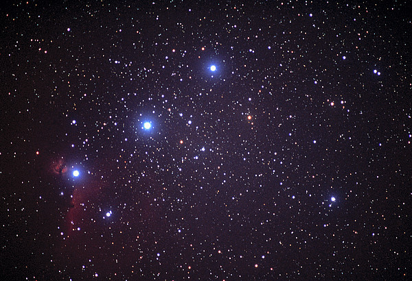orions-belt-john-sanford.jpg