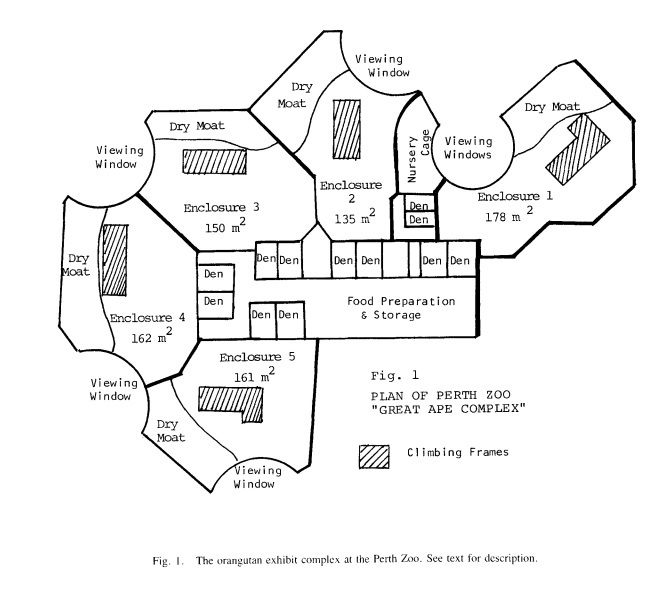 Orangutan-Exhibit-Complex-Great-Apes-at-Perth-Zoo-opened-1981.jpg