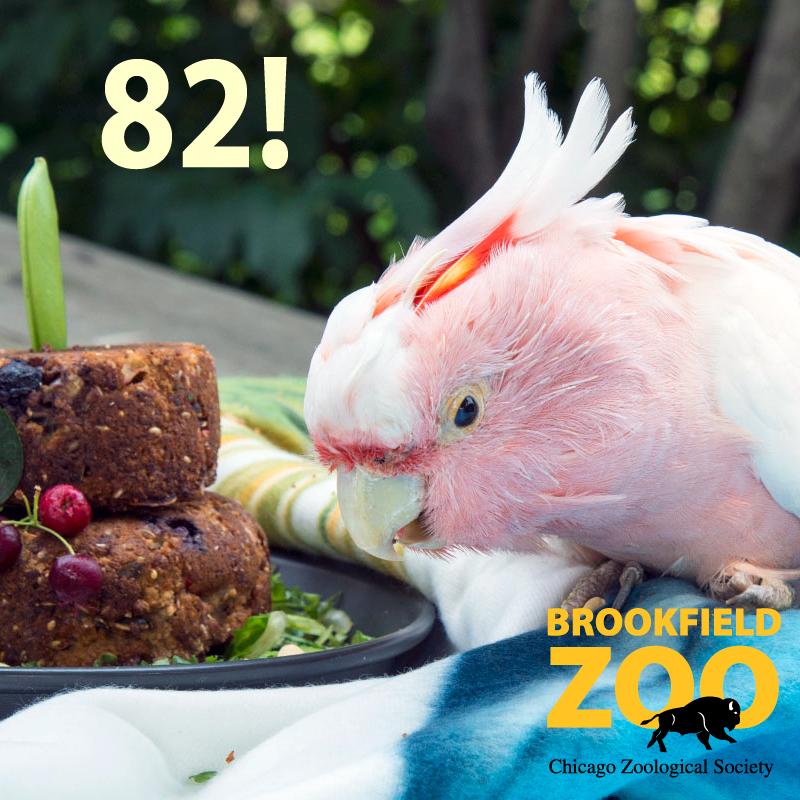 CIxmnosWUAEzNSq.jpg:large