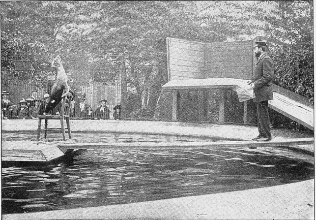 1693924004410-png.366246