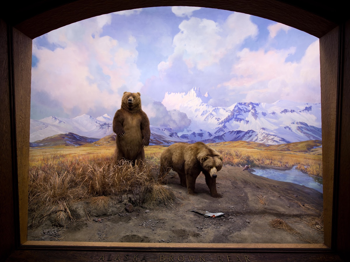 yr4V4Jt_EfG00be1c61OPfbXB7rfxULxBHCiNb447JPthNHlcG_DiBH_2M4PhA=s1200