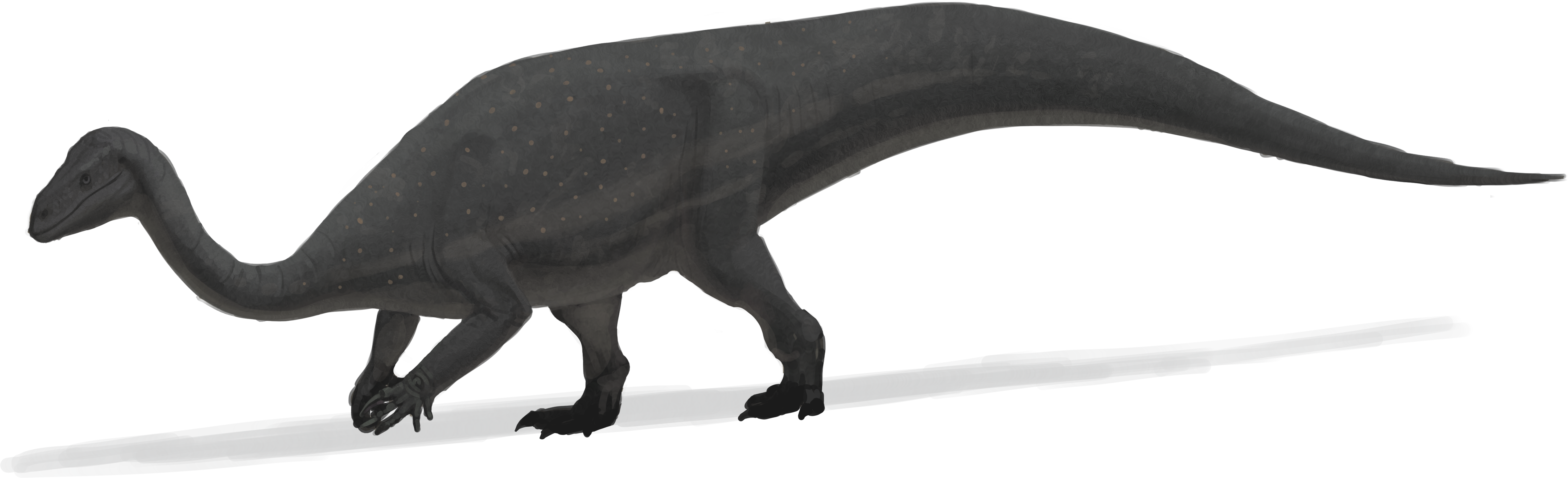 plateosauruslight.png