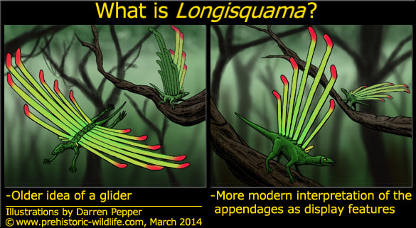 what-is-longisquama.jpg
