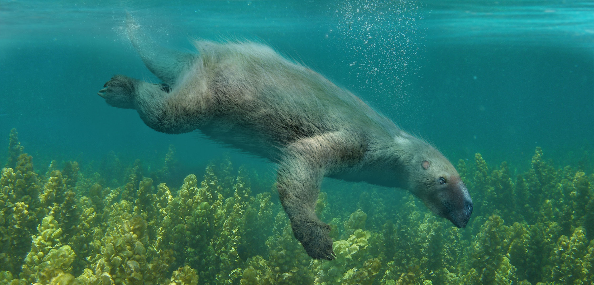 header-sloths-in-the-water.jpg