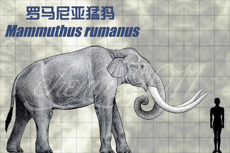 mammuthus_rumanus_by_sinammonite-d3ivevg.jpg
