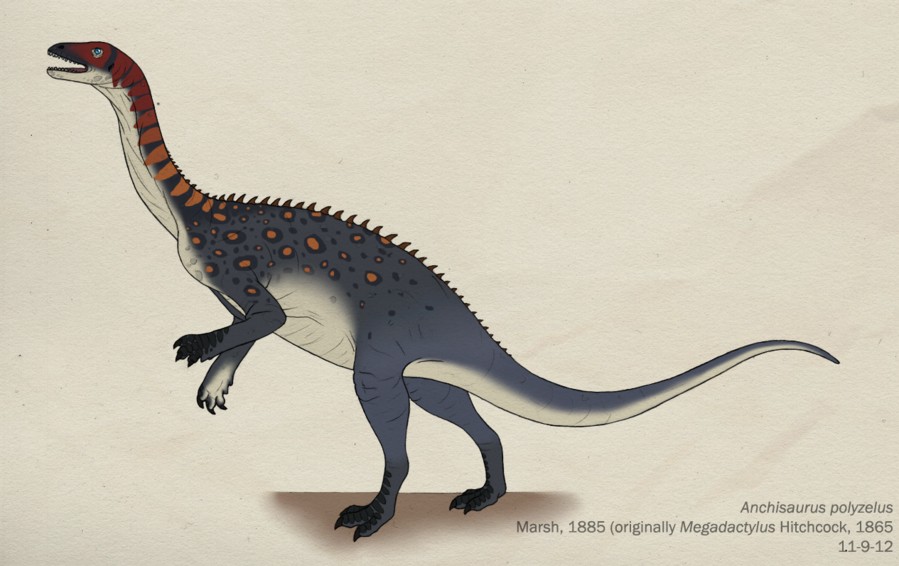 087__anchisaurus_polyzelus_by_green_mamba-d5kluwj_1ddf.jpg