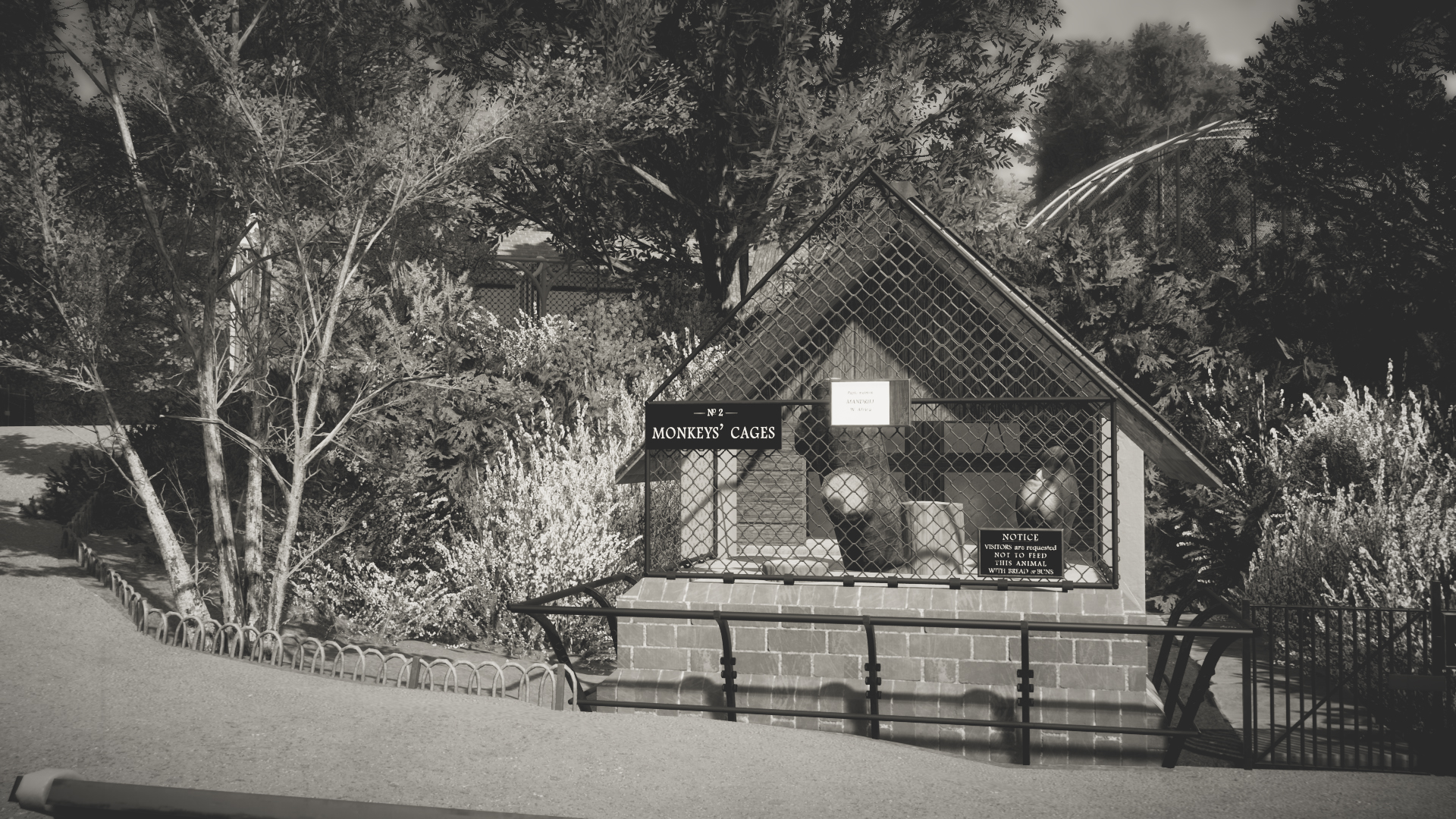 outdoor-monkey-cages-jpg.362303