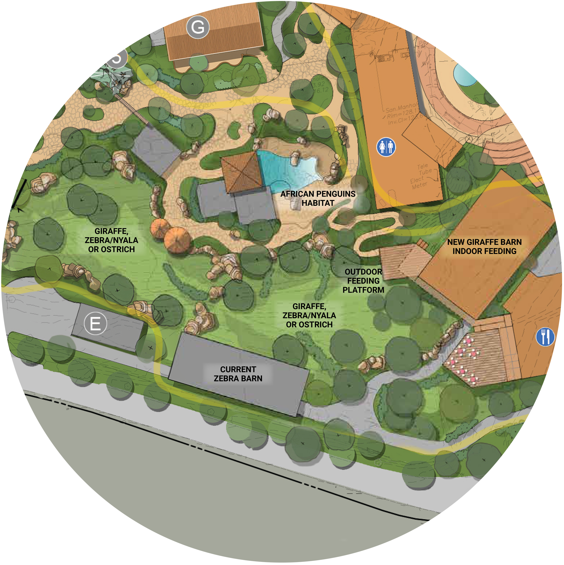 Giraffe-Floorplan-Circle.png
