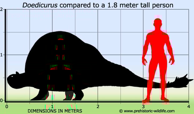 doedicurus-size.jpg