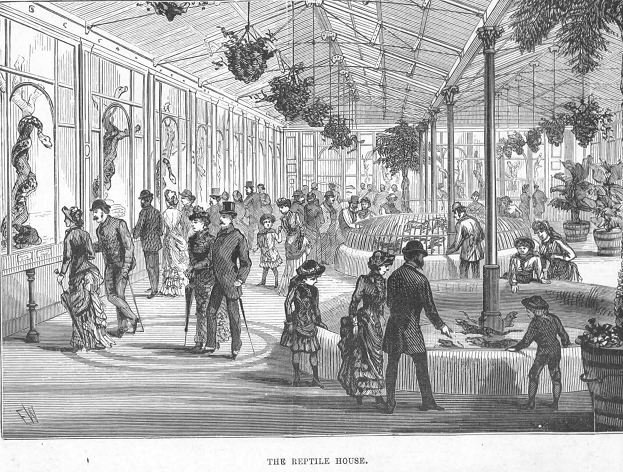 33-reptile-house-1-gif.374424