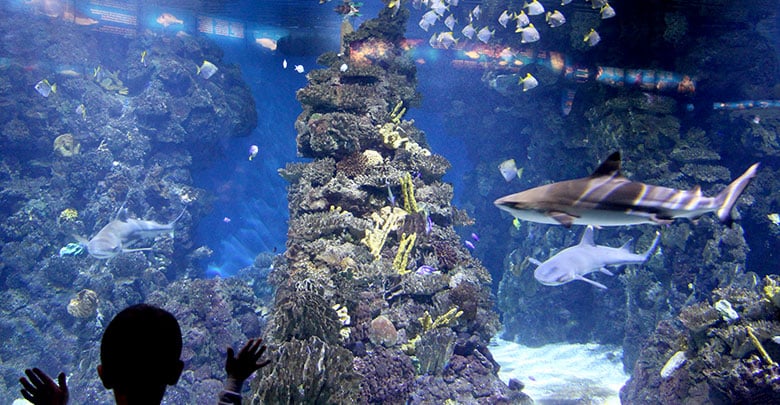 acuario-de-barcelona.jpg