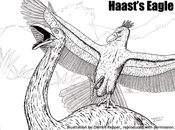 haast%27s-eagle.jpg
