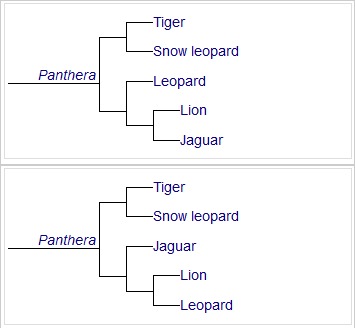 Two_cladograms_for_Panthera.png