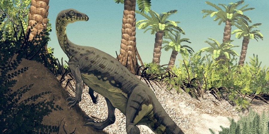 Anchisaurus_polyzelus_FI_pano-940x470_3590.jpg