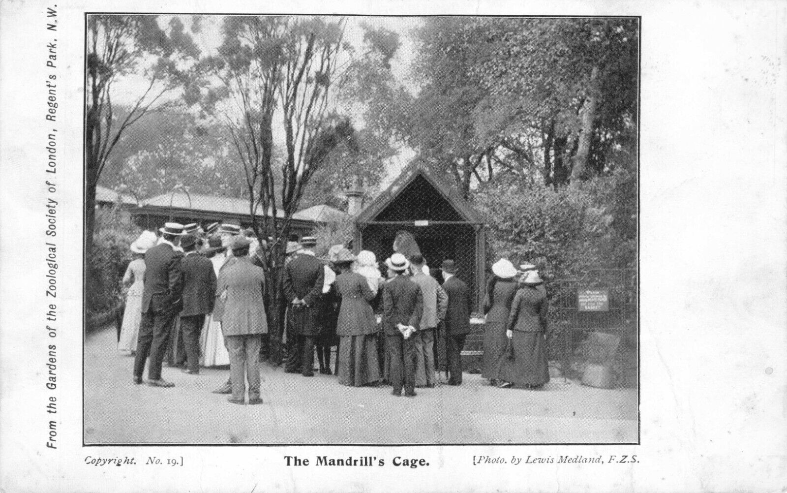 2-monkey-cage-2-jpg.362274