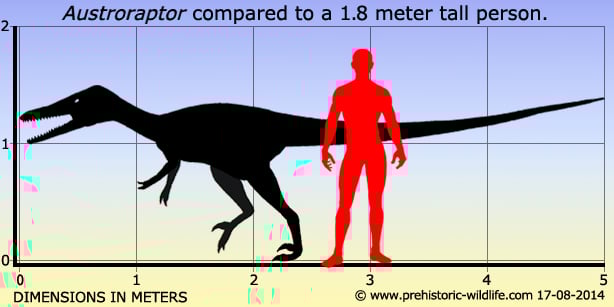 austroraptor-size.jpg