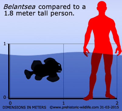 belantsea-size.jpg