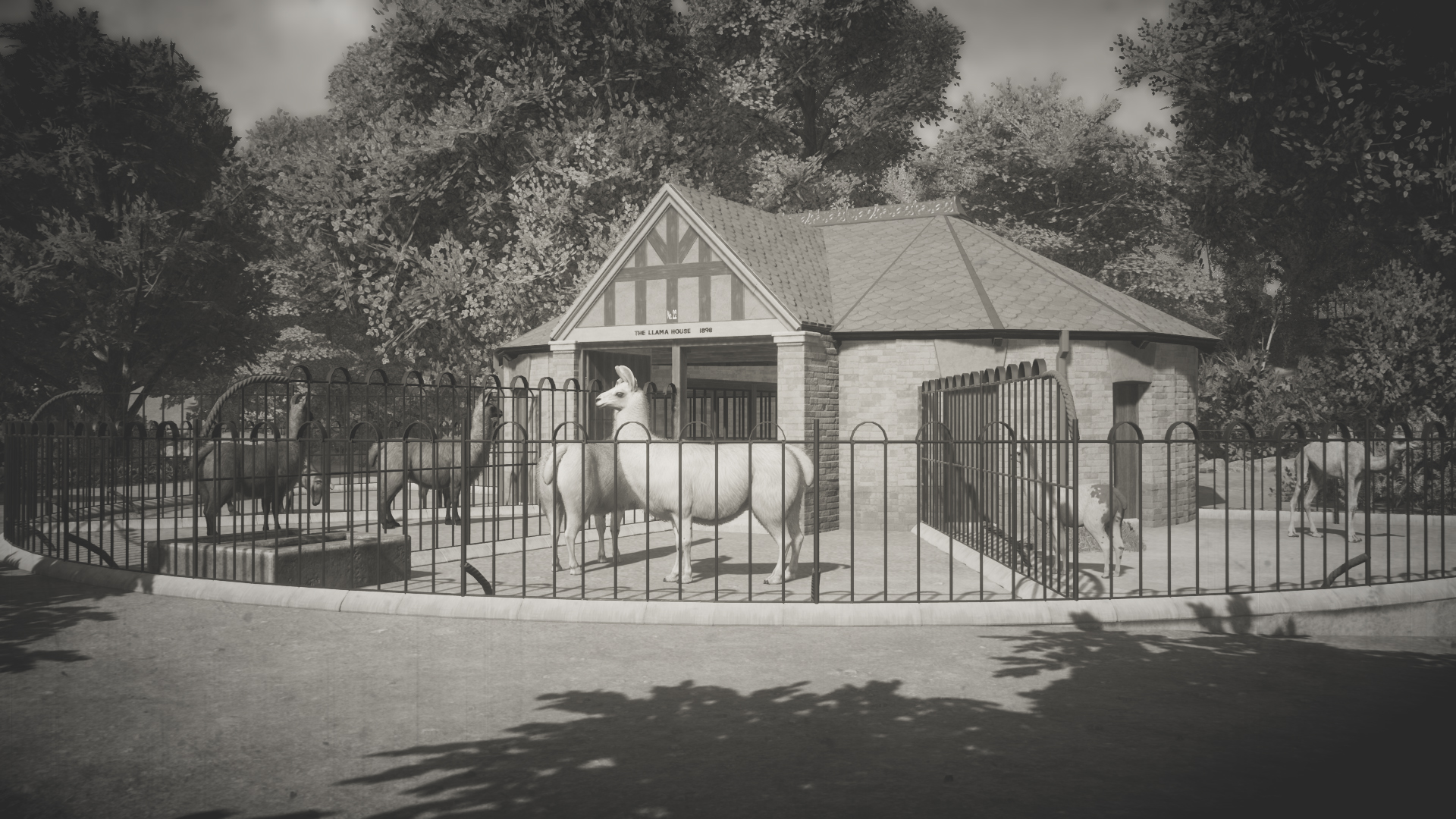 llamas-house-1-jpg.385956