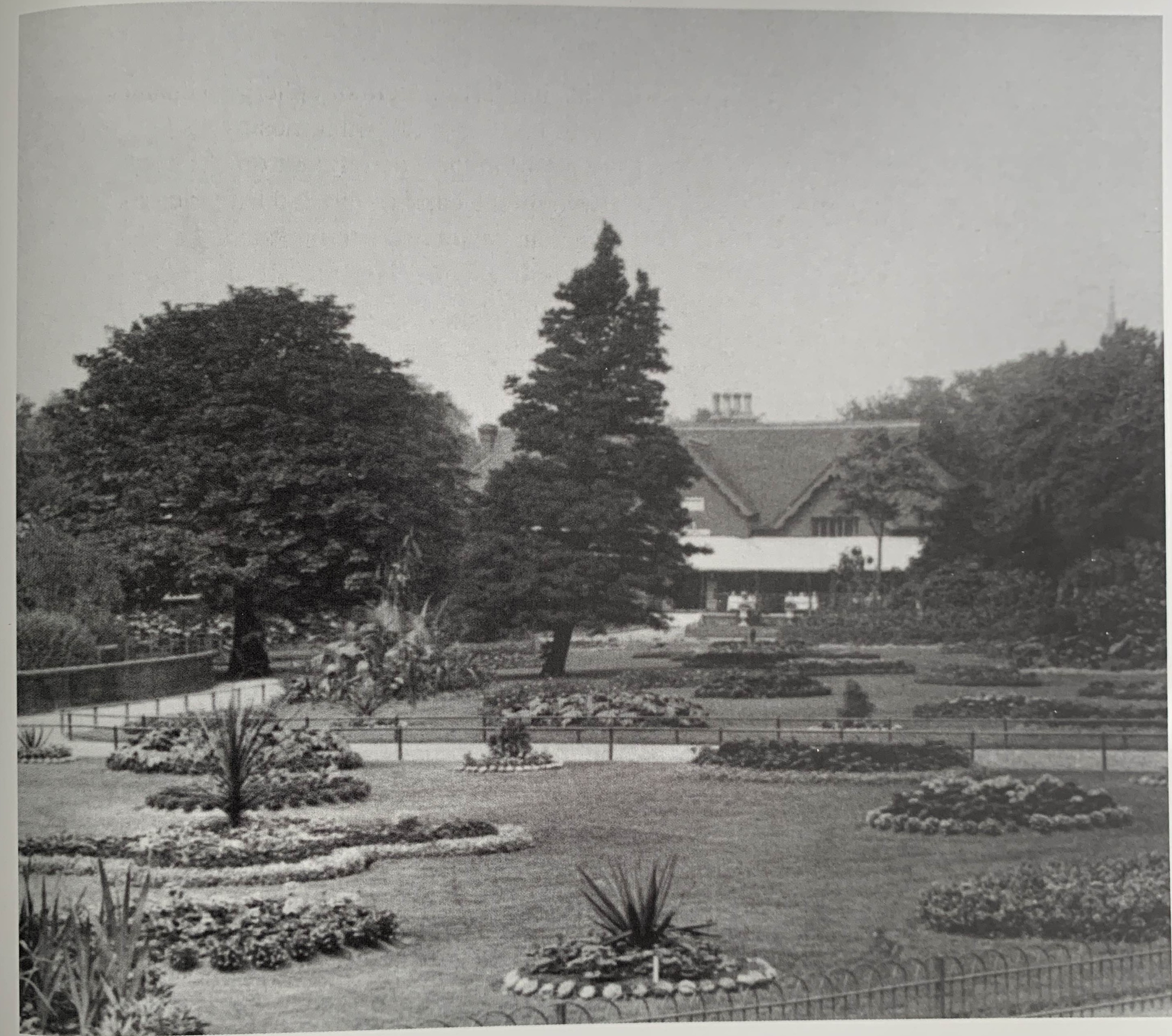 36a-lawns-5-jpg.408187