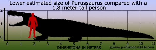 purussaurus-size.jpg