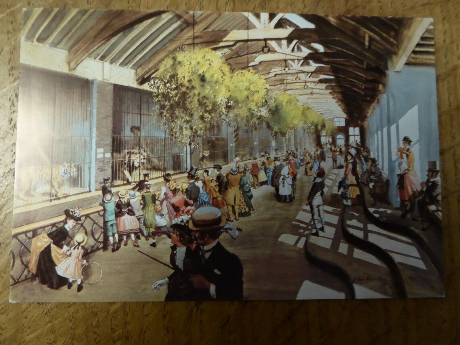 12-lion-house-18-jpg.371815