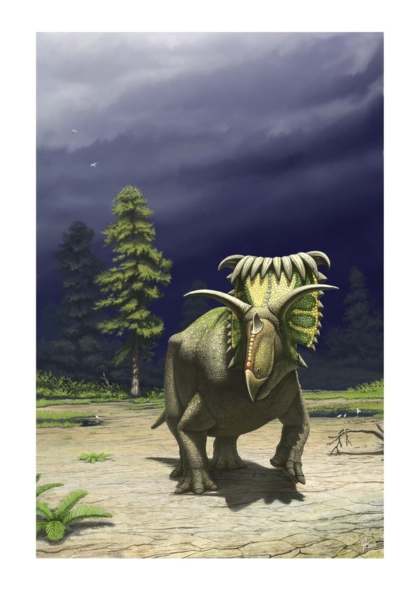 kosmoceratops_by_olorotitan-d33wzp7_6790.jpg