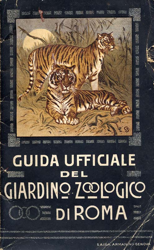 roma_guidebook_1911.jpg
