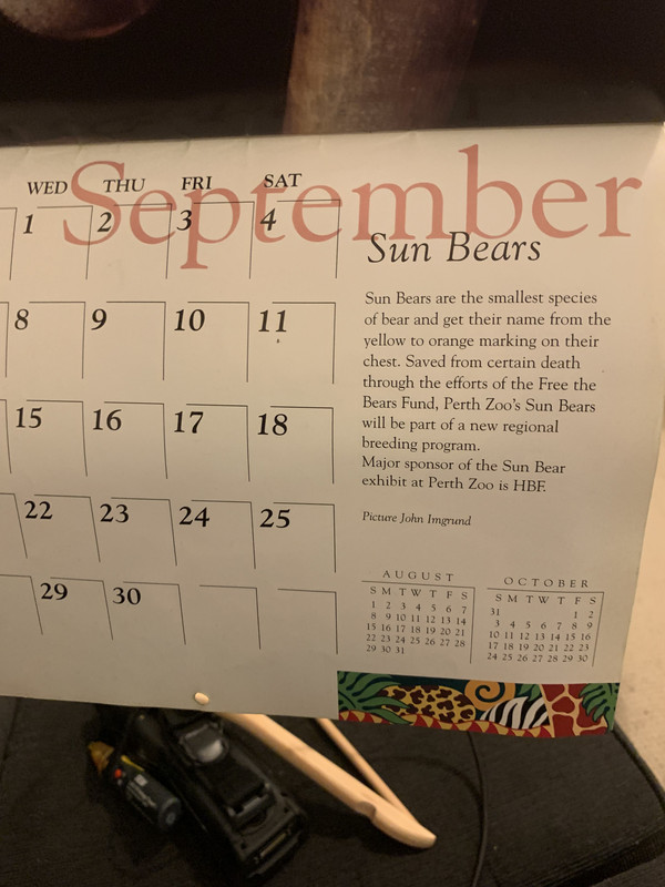 sun-bear-info.jpg
