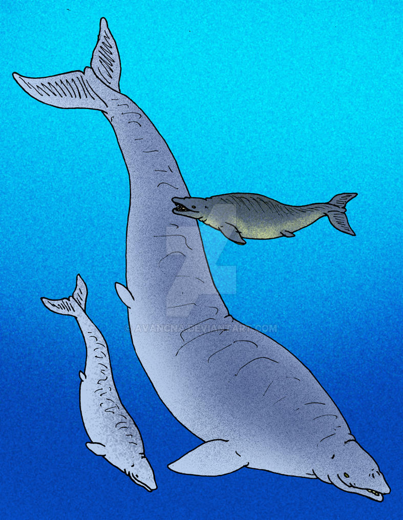 basilosaurus_cetoides_by_avancna-dybscz.jpg